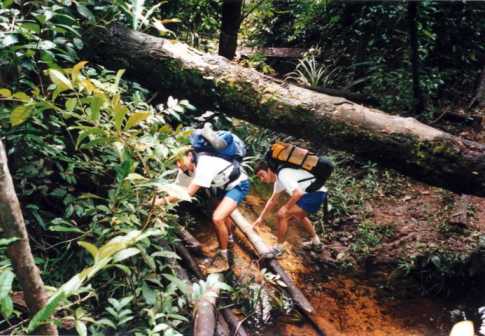 Olivier l'aventurier !